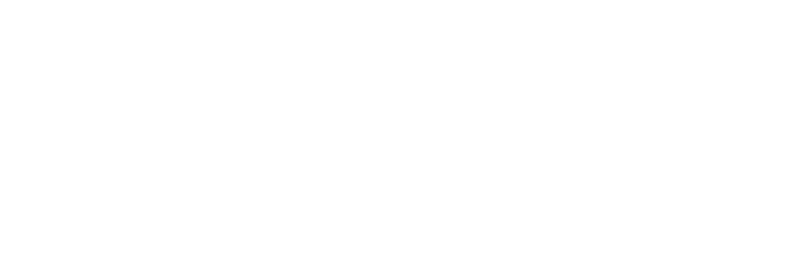 斎名智子 オフィシャルサイトロゴ